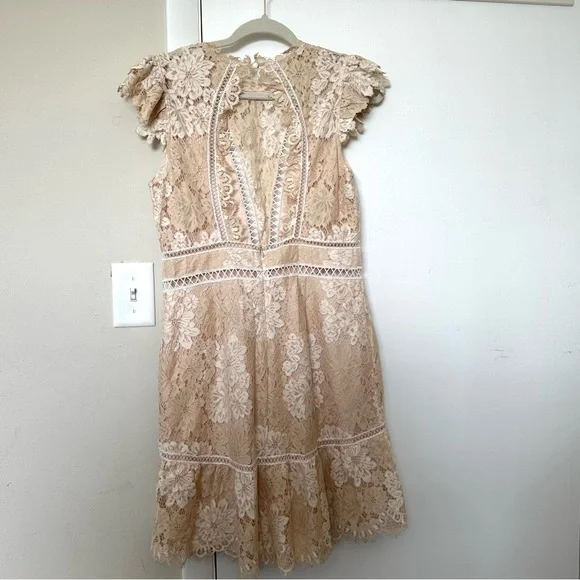 Lace Dress in Cream and Tan - Picture 2 of 3